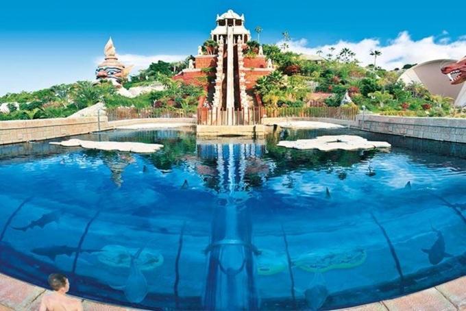 Tenerifeopenhome Luxury Prestige Studio In Playa Las Americas Playa de las Americas  Exteriör bild