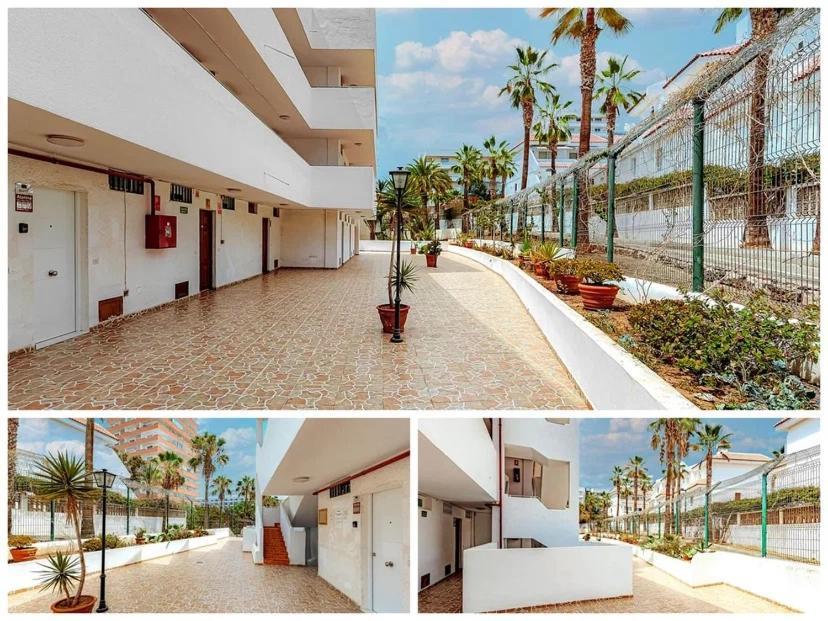 Tenerifeopenhome Luxury Prestige Studio In Playa Las Americas Playa de las Americas  Exteriör bild